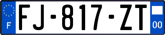 FJ-817-ZT