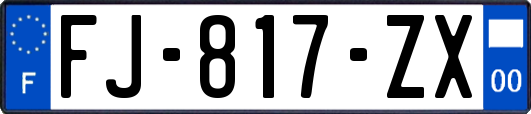 FJ-817-ZX