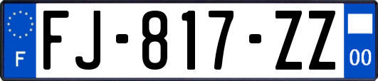 FJ-817-ZZ