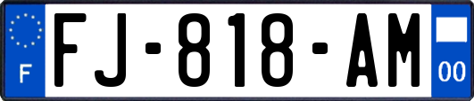 FJ-818-AM