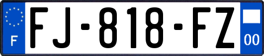 FJ-818-FZ
