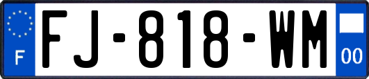 FJ-818-WM