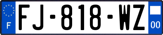 FJ-818-WZ