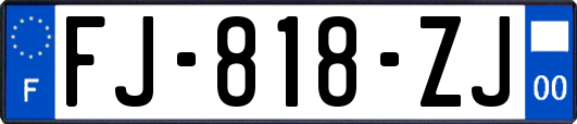 FJ-818-ZJ