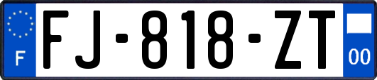 FJ-818-ZT