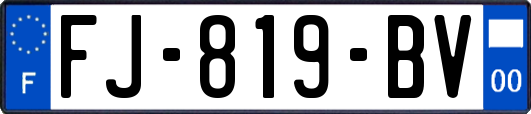 FJ-819-BV