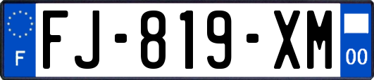 FJ-819-XM
