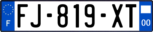 FJ-819-XT