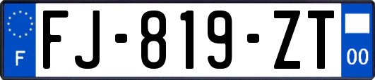 FJ-819-ZT