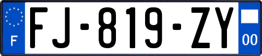 FJ-819-ZY