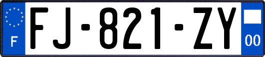 FJ-821-ZY