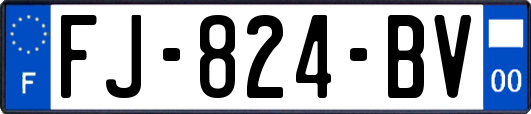 FJ-824-BV