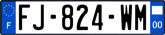 FJ-824-WM