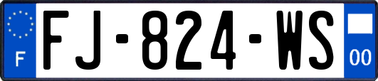 FJ-824-WS