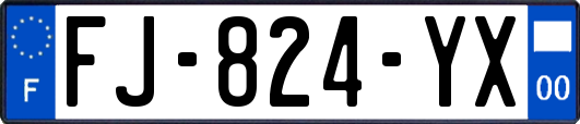 FJ-824-YX