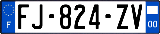 FJ-824-ZV