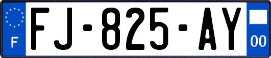 FJ-825-AY