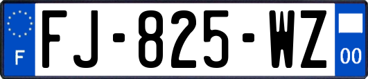 FJ-825-WZ