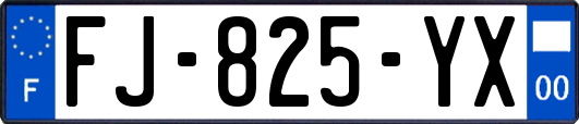 FJ-825-YX