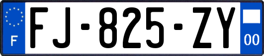 FJ-825-ZY