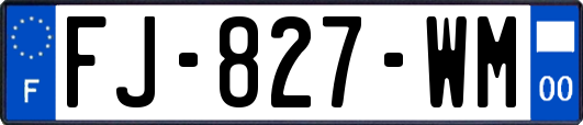 FJ-827-WM