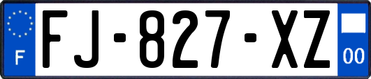 FJ-827-XZ