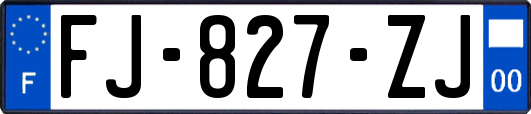 FJ-827-ZJ