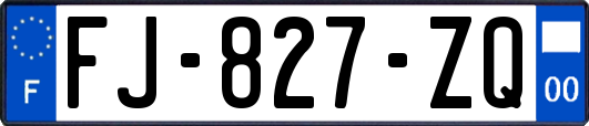 FJ-827-ZQ