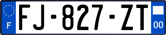 FJ-827-ZT