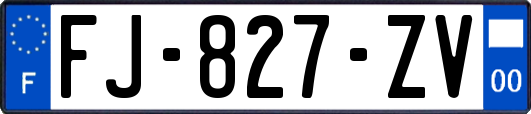 FJ-827-ZV