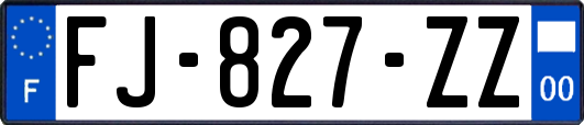 FJ-827-ZZ