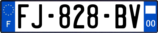 FJ-828-BV