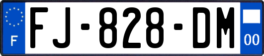 FJ-828-DM