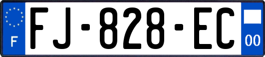 FJ-828-EC