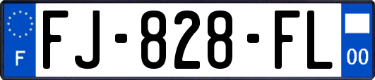 FJ-828-FL