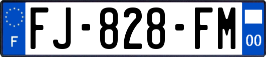 FJ-828-FM