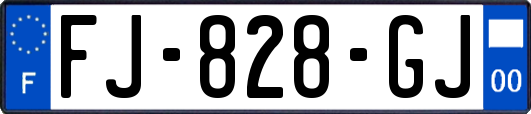 FJ-828-GJ