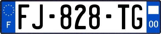 FJ-828-TG