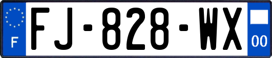 FJ-828-WX