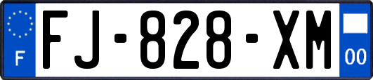 FJ-828-XM