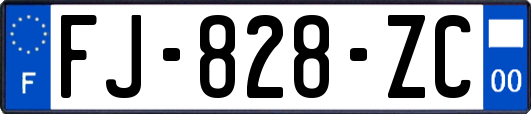 FJ-828-ZC