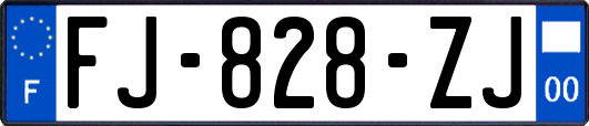 FJ-828-ZJ