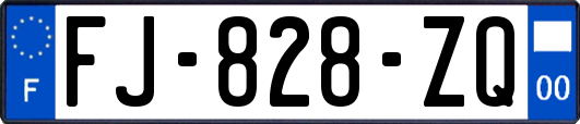 FJ-828-ZQ