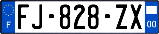 FJ-828-ZX