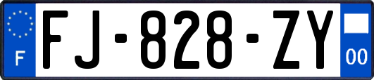 FJ-828-ZY