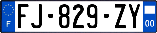 FJ-829-ZY
