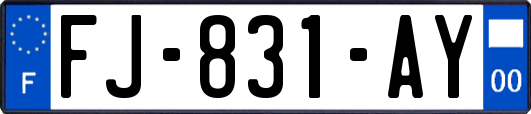 FJ-831-AY