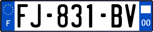 FJ-831-BV