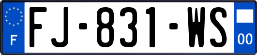 FJ-831-WS