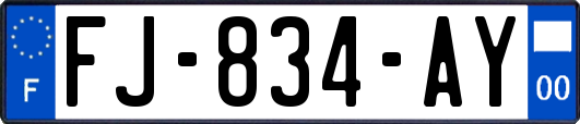 FJ-834-AY